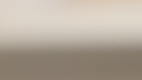 La salud preventiva demuestra que pequeñas acciones cotidianas pueden prolongar la vida de las mascotas.