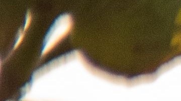 La industria del algodón de Texas está teniendo problemas para competir contra las telas sintéticas.