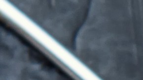 El ginkgo biloba es uno de los árboles más antiguos y sus extractos se han usado tradicionalmente en la medicina china.