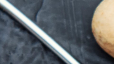 El ginkgo biloba es uno de los árboles más antiguos y sus extractos se han usado tradicionalmente en la medicina china.