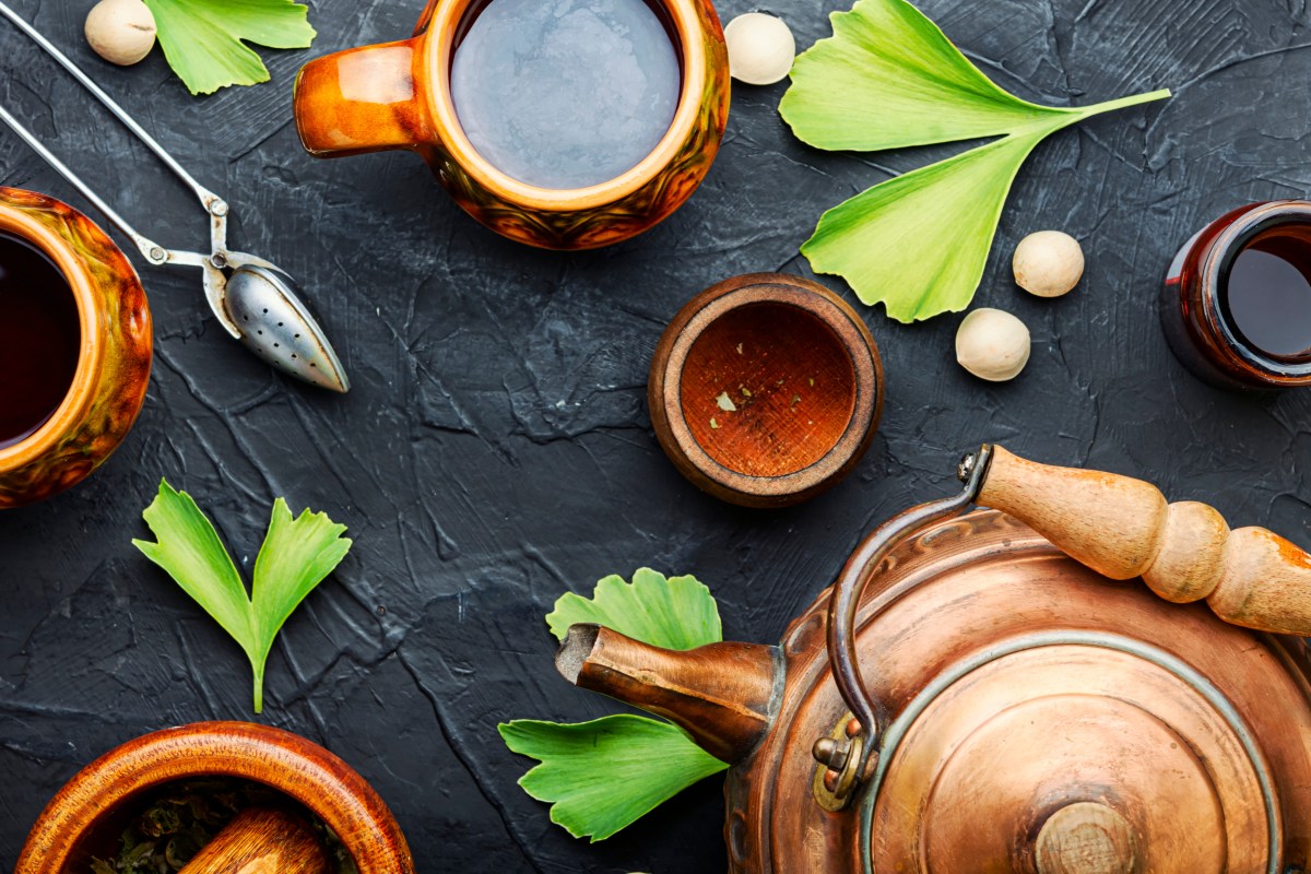 ¿Problemas de memoria o circulación? Conoce el poder curativo del ginkgo biloba