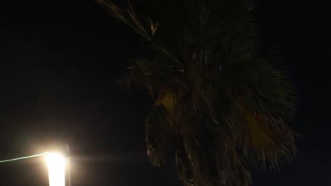 Miles de israelíes exigen en Tel Aviv un acuerdo para liberar rehenes