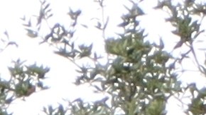 truist-bank-pagos-demanda