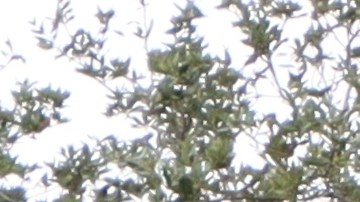 truist-bank-pagos-demanda