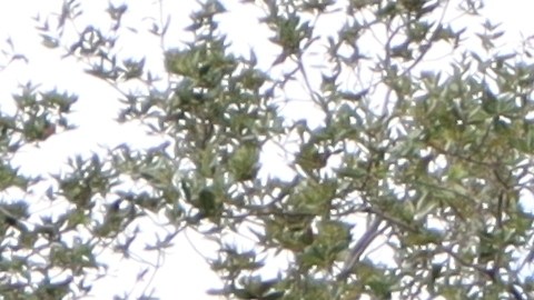 truist-bank-pagos-demanda