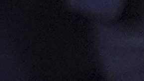 El presidente Donald Trump durante el UF 316.