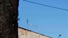 Donald Trump y Volodímir Zelenski acordaron reforzar la defensa aérea en Ucrania