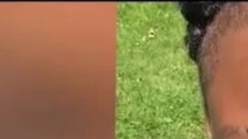 Saniyah Cheatham tenía 18 años.