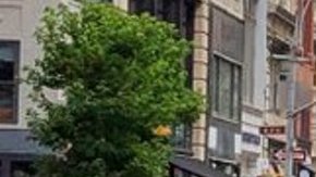 Taxi futurista de Waymo en NYC.