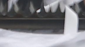 El partido entre Colo Colo y U de Chile se mantuvo detenido por varios minutos tras el incidente.