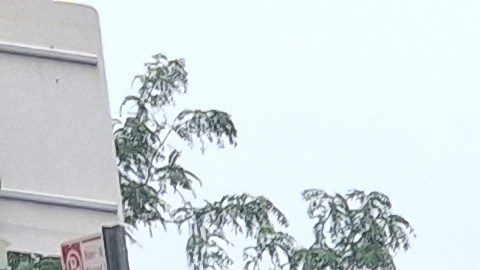 Residentes de la Pequeña República Dominicana como Yusbelys Ramos ya están listos para izar su bandera este domingo.