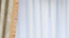 El presidente ruso, Vladímir Putin (izq.), y el enviado especial de EE. UU. para Oriente Medio, Steve Witkoff, se estrechan la mano antes de una reunión en el Kremlin, en Moscú, Rusia, el 6 de agosto de 2025.