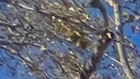 Alerta por enfermedad del legionario en Harlem: 2 muertos y 58 contagiados