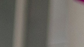 Triunfo de la comunidad trans en Nueva York, Concejo aprueba $13.7 millones