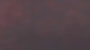 Toda la mercancía es trasladada por los cárteles mexicanos a EE.UU.