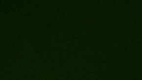 IRS proporciona nombres, direcciones y datos fiscales a ICE.