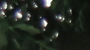 La Cruz Roja habilitó dos refugios para las personas más afectadas.