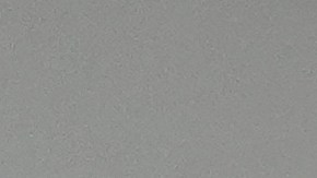 En pocas horas, el TikTok de la Casa Blanca ha sumado miles de seguidores.