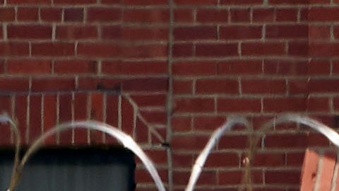 El centro de detención tendrá disponibles 280 camas para migrantes arrestados.