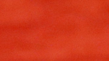 EE.UU. viene de imponer arancels del 25% a India.