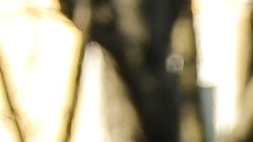 La vivienda donde tuvo lugar la fiesta ha sido un problema en la zona por años.