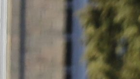 Los detectives fueron vistos sacando bolsas de evidencia del apartamento el sábado en la tarde.