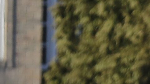 Los detectives fueron vistos sacando bolsas de evidencia del apartamento el sábado en la tarde.