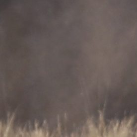 Accidente fatal en el Rally Vuelta al Ecuador deja dos muertos y seis heridos