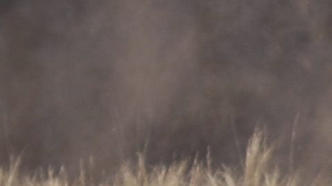 Accidente fatal en el Rally Vuelta al Ecuador deja dos muertos y seis heridos