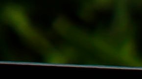 Un cuarto de millón de venezolanos obtuvieron el TPS en 2021.