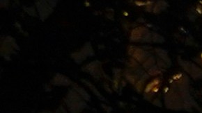 Un bombero resulta herido cuando intentaba contener las llamas.