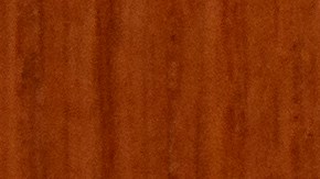 Logo del DHS, Departamento de Seguridad Nacional