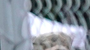 Trump declaró la semana pasada una "Emergencia de Seguridad Pública" con la que activó a unas 800 tropas de la Guardia Nacional.