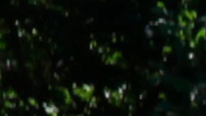 La identidad de la víctima no se ha dado a conocer.