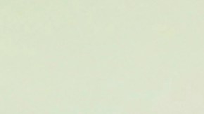 Licencias de conducir