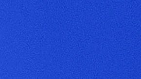 No es un hecho que los tribunales fallen a favor de Abbott y Paxton sobre el asunto de si los legisladores demócratas han abandonado sus cargos.