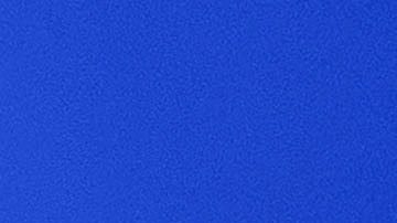 No es un hecho que los tribunales fallen a favor de Abbott y Paxton sobre el asunto de si los legisladores demócratas han abandonado sus cargos.