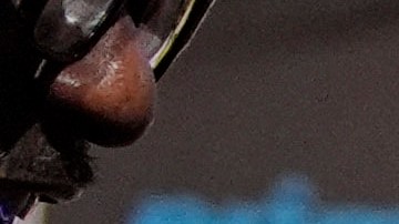 Gervonta Davis se enfrentará contra Jake Paul.