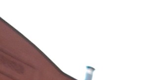 Guardias de seguridad frente al Edificio de Oficinas Federales Jacob K. Javits, ubicado en el número 26 de Federal Plaza.