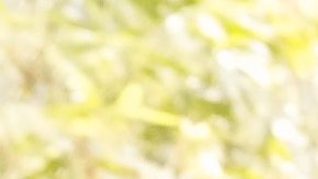 Sergio "Checo" Pérez durante la previa del Gran Premio de México en 2024.