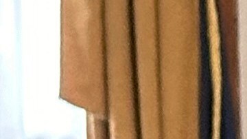 El mandatario quiere priorizar las papeletas con marca de agua.