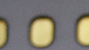 Vuelos de deportación de Estados Unidos a Venezuela