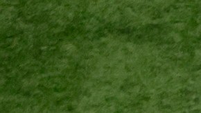 Logo de la NFL.