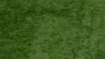 Logo de la NFL.