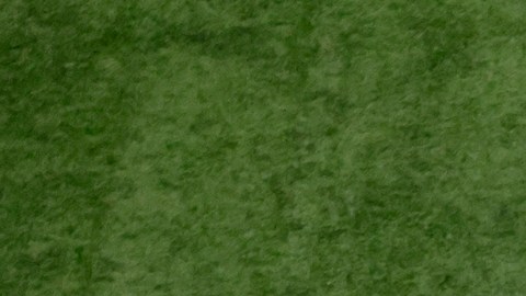 Logo de la NFL.