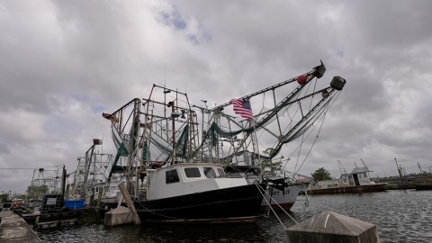 Barcos pesqueros en Luisiana, uno de los estados con más infectados con la bacteria.