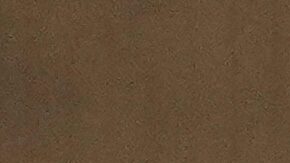 El representante estadounidense Ro Khanna (demócrata por California).