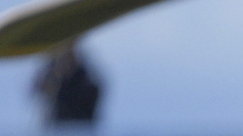 Barkley y Trump son amigos y han sido visto juntos en varias ocasione.