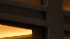 NY como ciudad santuario