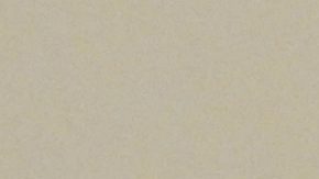 Putin priorizó su pragmática relación con Trump, al que convenció en su cumbre en Alaska para que renunciara a imponer sanciones a Moscú si no declaraba un alto el fuego en Ucrania.
